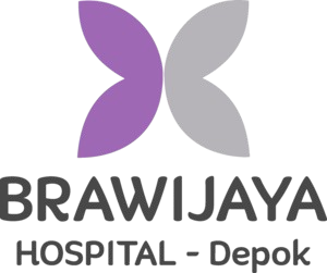 Portal Link Brawijaya Hospital Depok